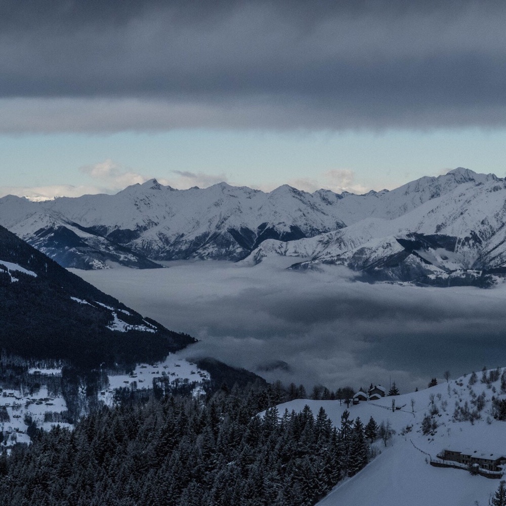 Meet your Posher, Marion